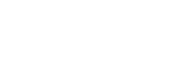 Walsh Service Solutions Logo